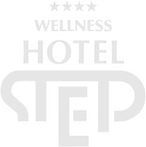 logo_step.png